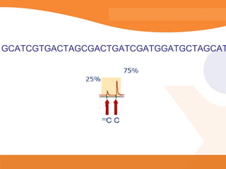 GCATCGTGACTAGCGACTGATCGATGGATGCTAGCAT
 