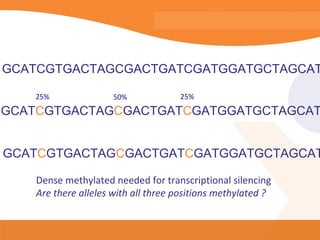 GCATCGTGACTAGCGACTGATCGATGGATGCTAGCAT

    25%               50%            25%
GCATCGTGACTAGCGACTGATCGATGGATGCTAGCAT


GCATCGTGACTAGCGACTGATCGATGGATGCTAGCAT

    Dense methylated needed for transcriptional silencing
    Are there alleles with all three positions methylated ?
 