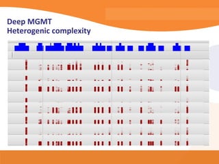 Deep MGMT
Heterogenic complexity
 