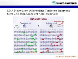 DNA Methylation Differentiates Totipotent Embryonic
Stem Cells from Unipotent Adult Stem Cells




                                       Alex Meissner, Henry Stewart Talks
 