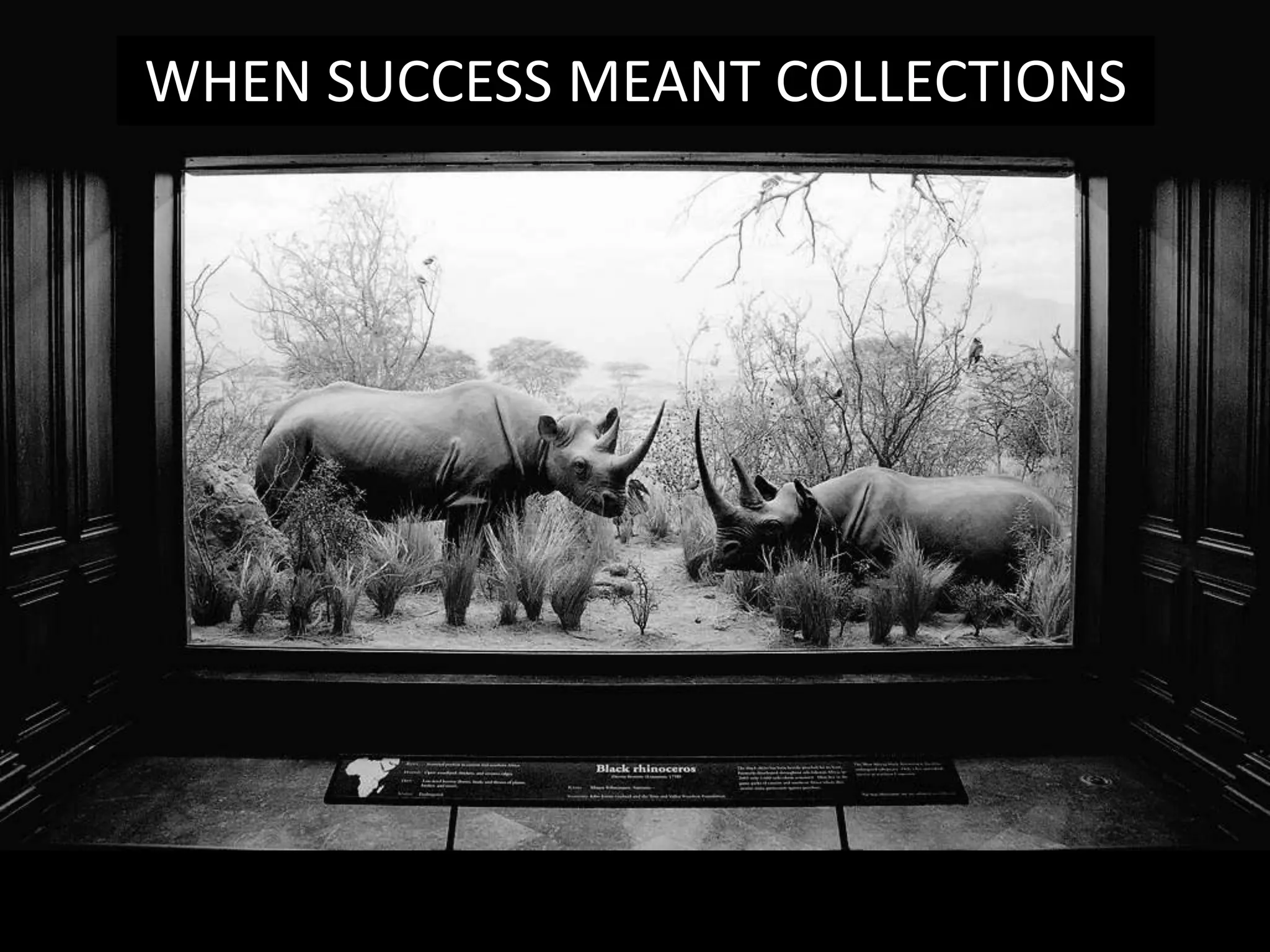 WHEN SUCCESS MEANT COLLECTIONS
 