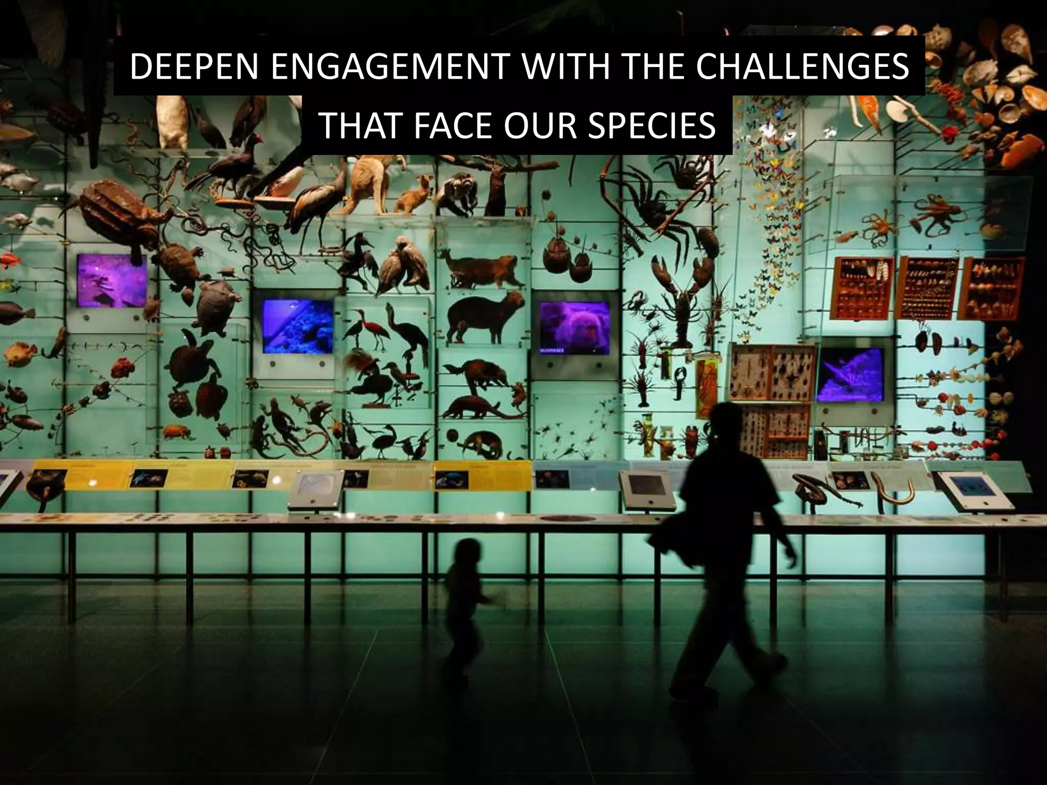 PUT THE TOOLS OF KNOWLEDGE CREATION
INTO MORE HANDS
SHARE THE JOY AND MEANING OF ARTISTIC AND
CULTURAL EXPLORATION WITH MORE CITIZENS
NURTURE THE HABITS OF A CIVIL
AND SUSTAINABLE SOCIETY
DEEPEN ENGAGEMENT WITH THE CHALLENGES
THAT FACE OUR SPECIES
 