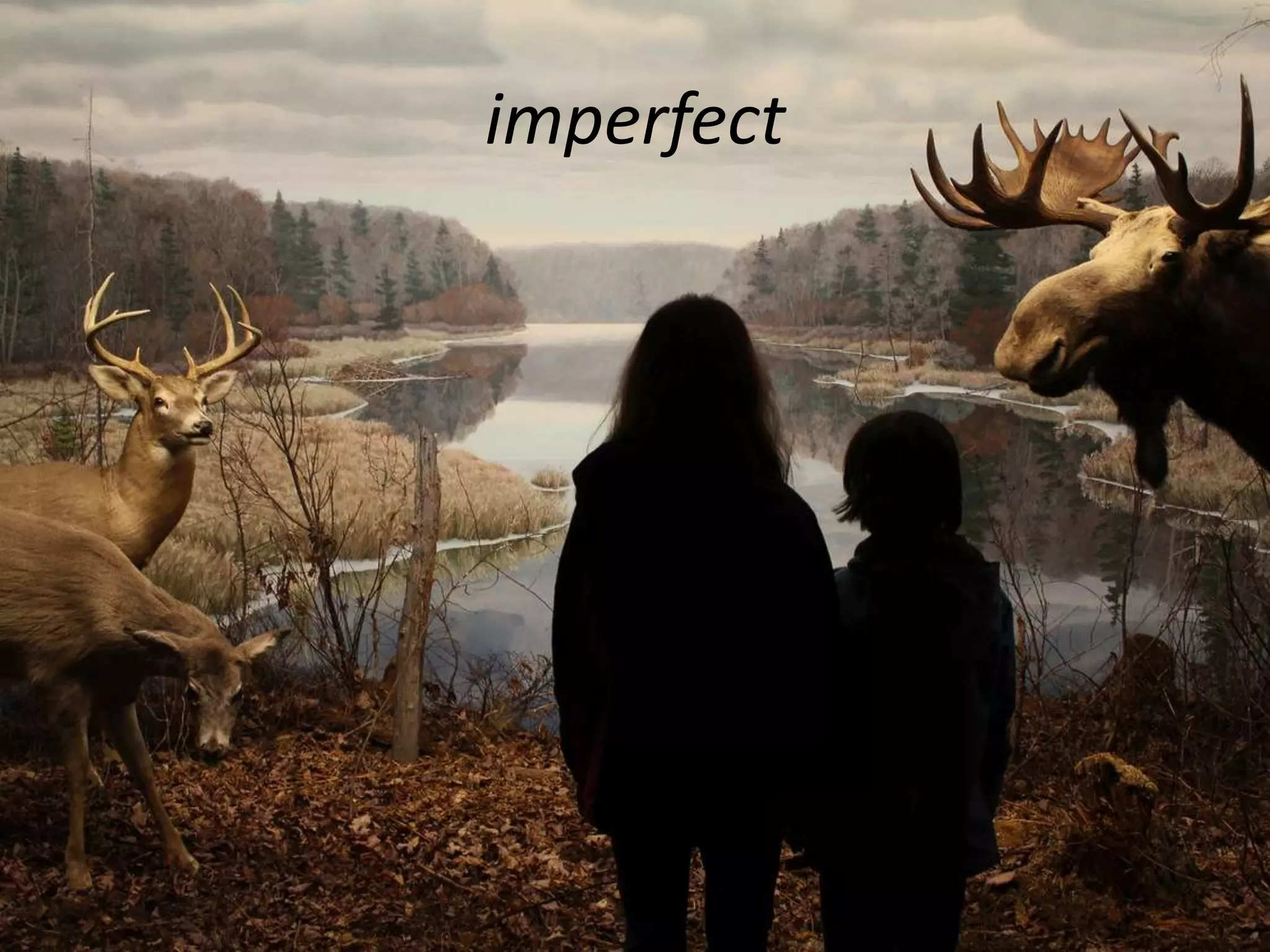 Not necessarily, but the vast difference
in scale is evidence that something
significant—rich in potential—is going on
There are more powerful
ways of accomplishing
museum missions than
getting people through
the doors.
 