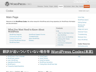 U׷ĤƤʤϵ WordPress Codex()
 