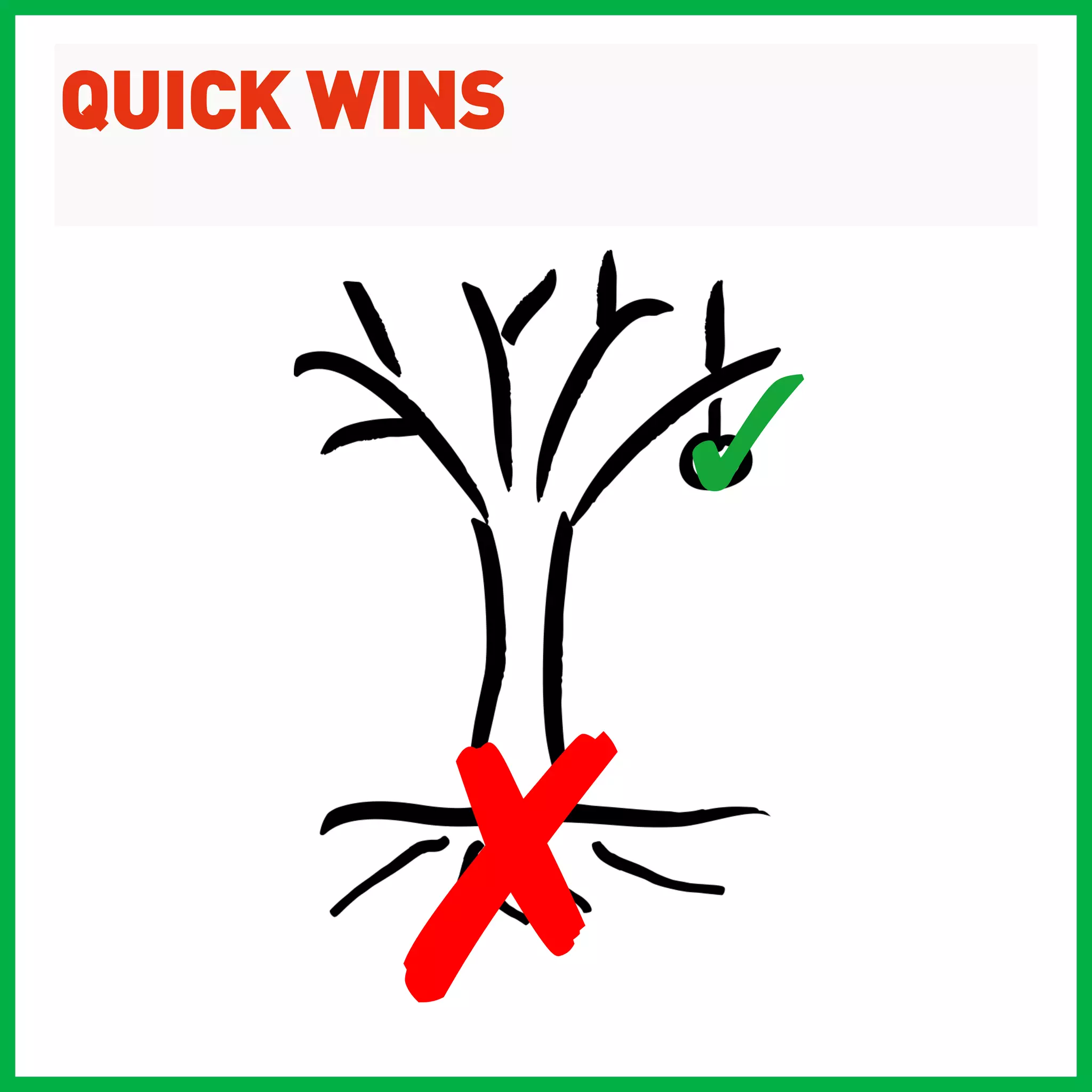 QUICK WINS



             ✓


       ✗
 