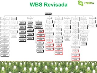 WBS Revisada
 