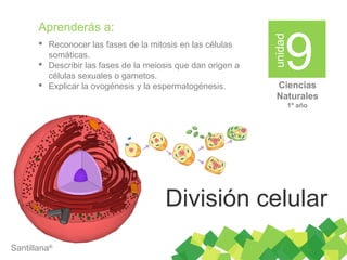 unidad
9
División celular
Aprenderás a:
 Reconocer las fases de la mitosis en las células
somáticas.
 Describir las fases de la meiosis que dan origen a
células sexuales o gametos.
 Explicar la ovogénesis y la espermatogénesis.
Santillana®
Ciencias
Naturales
1º año
 