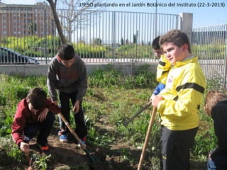1ºESO plantando en el Jardín Botánico del Instituto (22-3-2013)
 