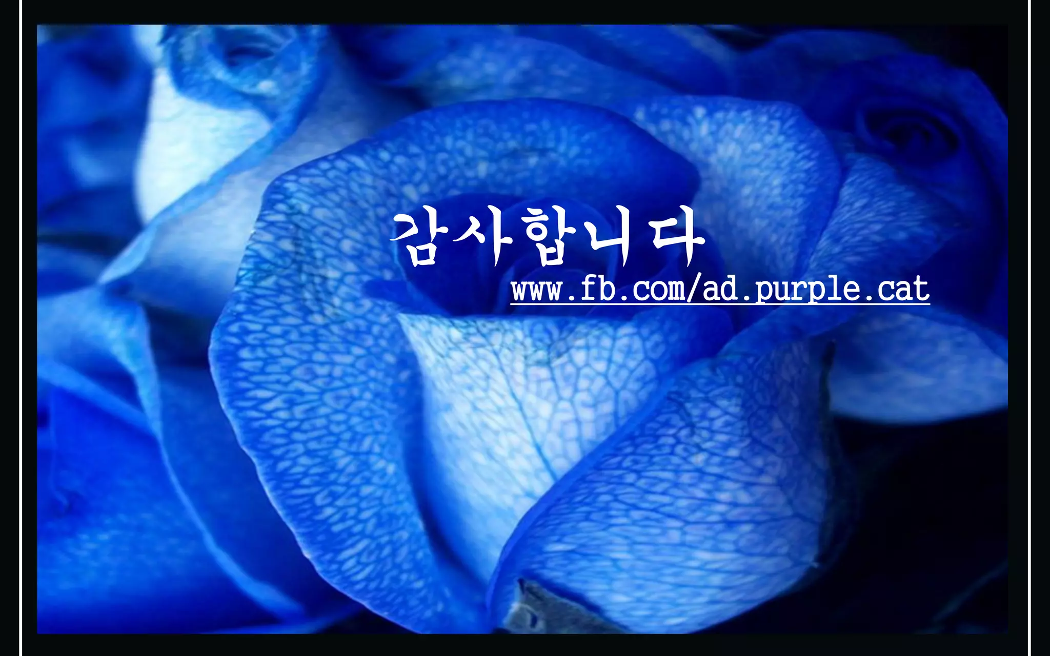 감사합니다
 www.fb.com/ad.purple.cat
 