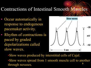 Motility in small intestine