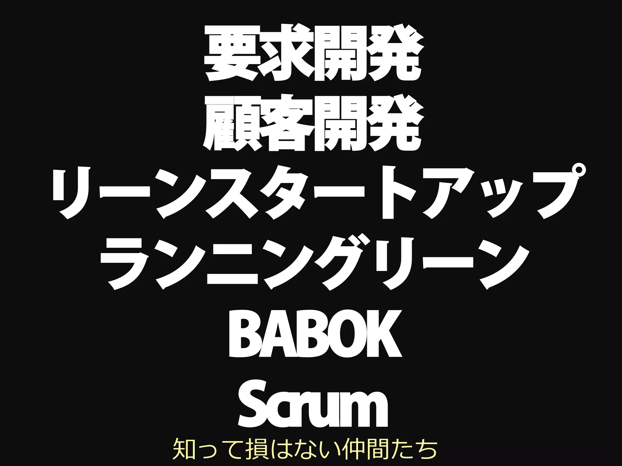 要求開発
   顧客開発
リーンスタートアップ
 ランニングリーン
   BABOK
    Scrum
  知って損はない仲間たち
 