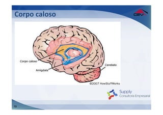 Corpo	
  caloso	
  
	
  




19
 