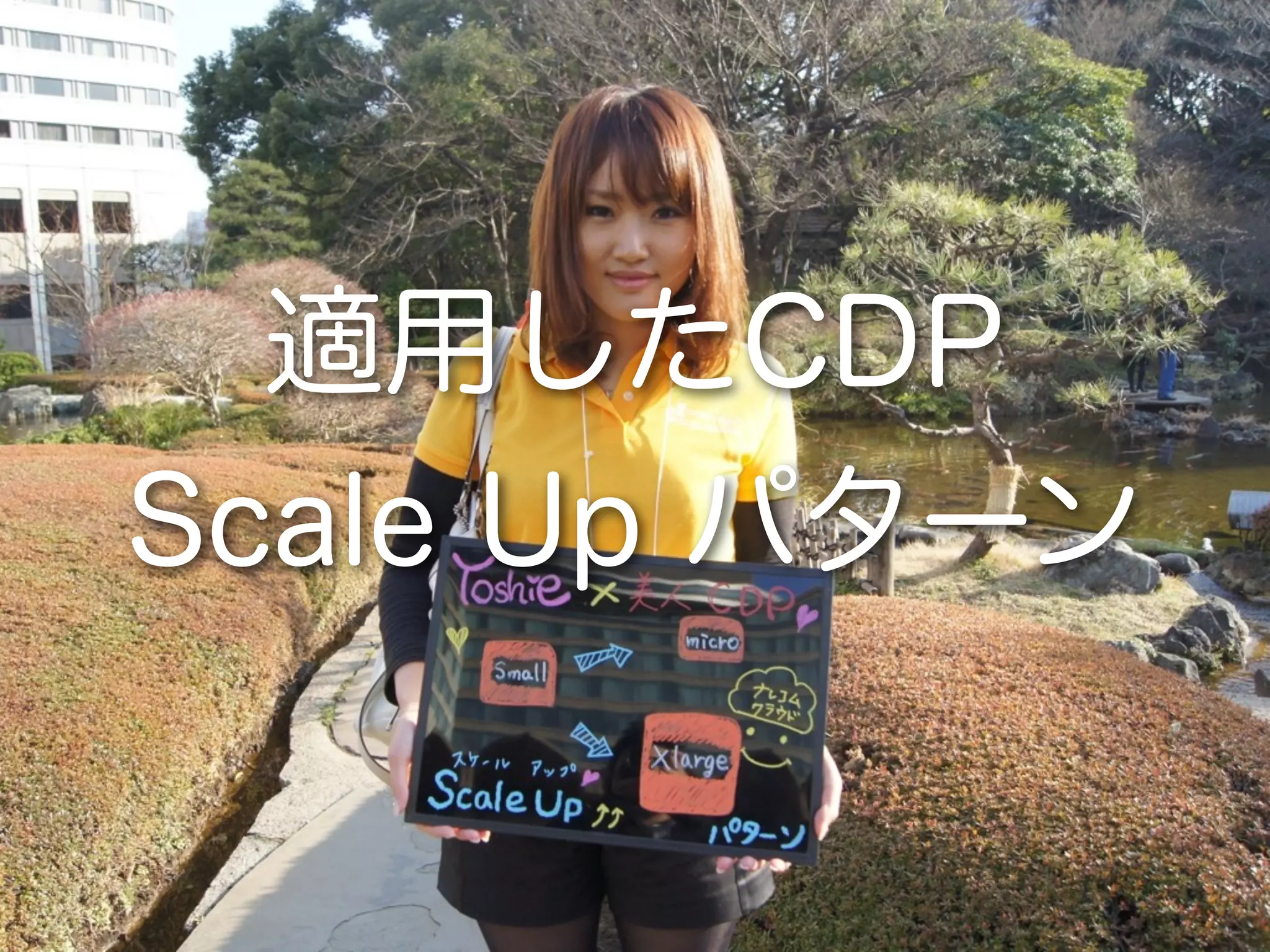 適用したCDP
Scale Up パターン
 
