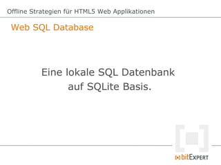 Offline Strategien für HTML5 Web Applikationen

 Web SQL Database




          Eine lokale SQL Datenbank
                auf SQLite Basis.
 