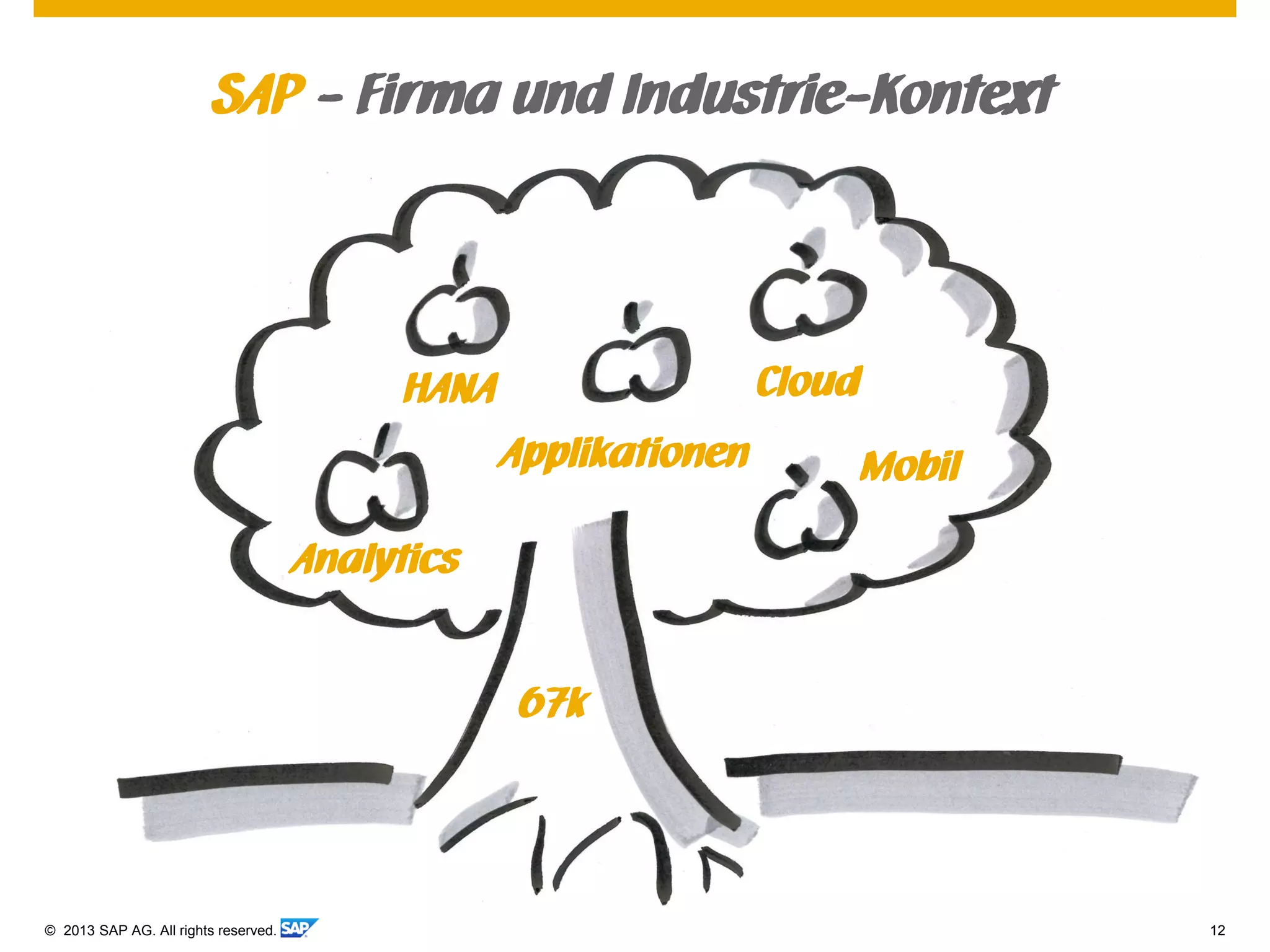 © 2013 SAP AG. All rights reserved. 12
SAP - Firma und Industrie-Kontext
CloudHANA
Mobil
67k
Analytics
Applikationen
 