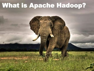 © Hortonworks Inc. 2013
Page 3
What is Apache Hadoop?
 