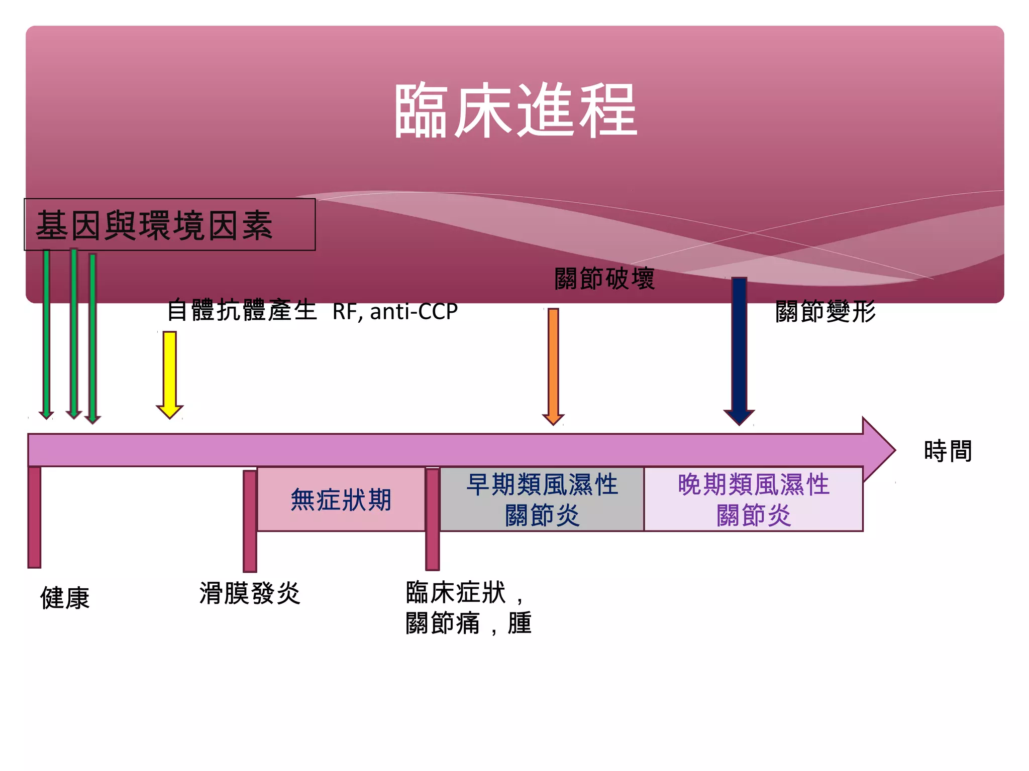 臨床進程
時間
健康 滑膜發炎 臨床症狀，
關節痛，腫
無症狀期
早期類風濕性
關節炎
晚期類風濕性
關節炎
基因與環境因素
自體抗體產生 RF, anti-CCP
關節破壞
關節變形
 