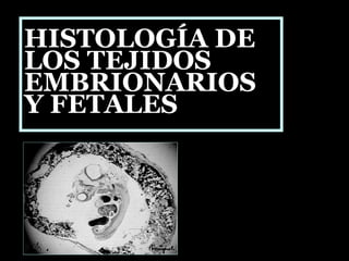 HISTOLOGÍA DEHISTOLOGÍA DE
LOS TEJIDOSLOS TEJIDOS
EMBRIONARIOSEMBRIONARIOS
Y FETALESY FETALES
 