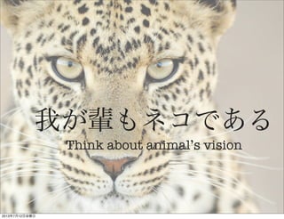 我が輩もネコである
Think about animal’s vision
2013年7月12日金曜日
 