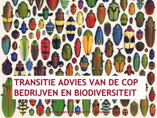 TRANSITIE ADVIES VAN DE COP
BEDRIJVEN EN BIODIVERSITEIT
Dutch Research Institute For Transitions
 