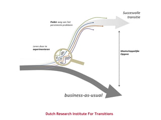 Dutch Research Institute For Transitions
 