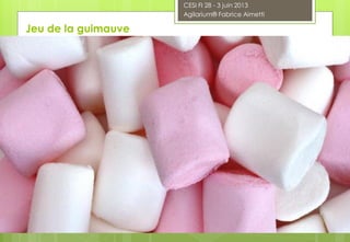 CESI FI 28 - 3 juin 2013
Agilarium® Fabrice Aimetti
Jeu de la guimauve
 