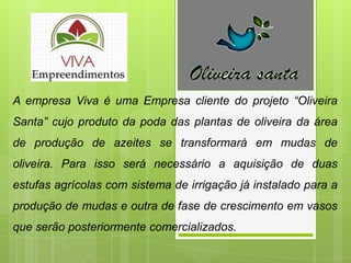 A empresa Viva é uma Empresa cliente do projeto “Oliveira
Santa” cujo produto da poda das plantas de oliveira da área
de produção de azeites se transformará em mudas de
oliveira. Para isso será necessário a aquisição de duas
estufas agrícolas com sistema de irrigação já instalado para a
produção de mudas e outra de fase de crescimento em vasos
que serão posteriormente comercializados.
 