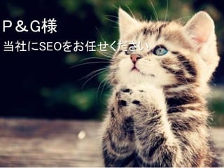 PG
SEOΤ
 