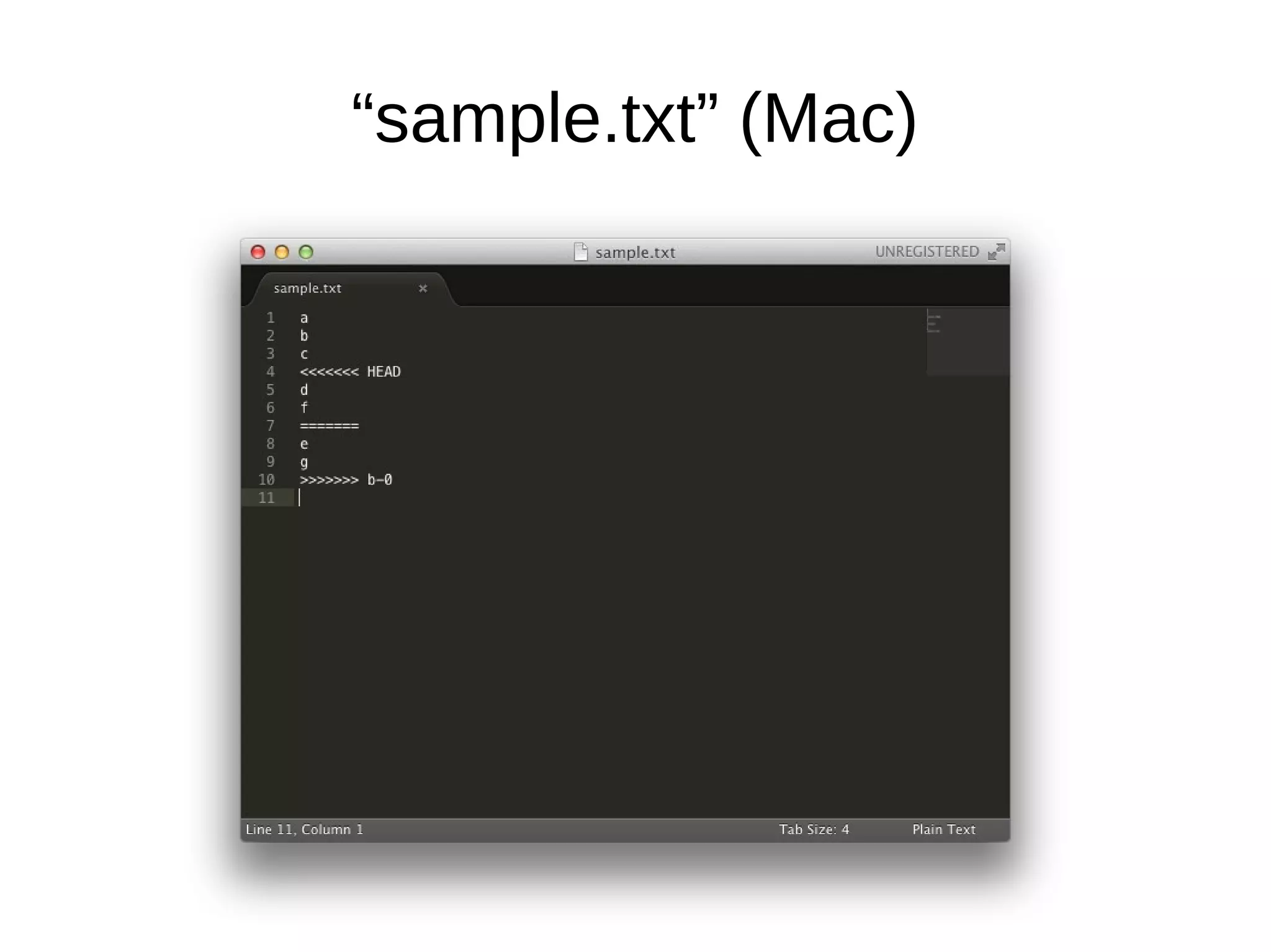 “sample.txt” (Mac)
 