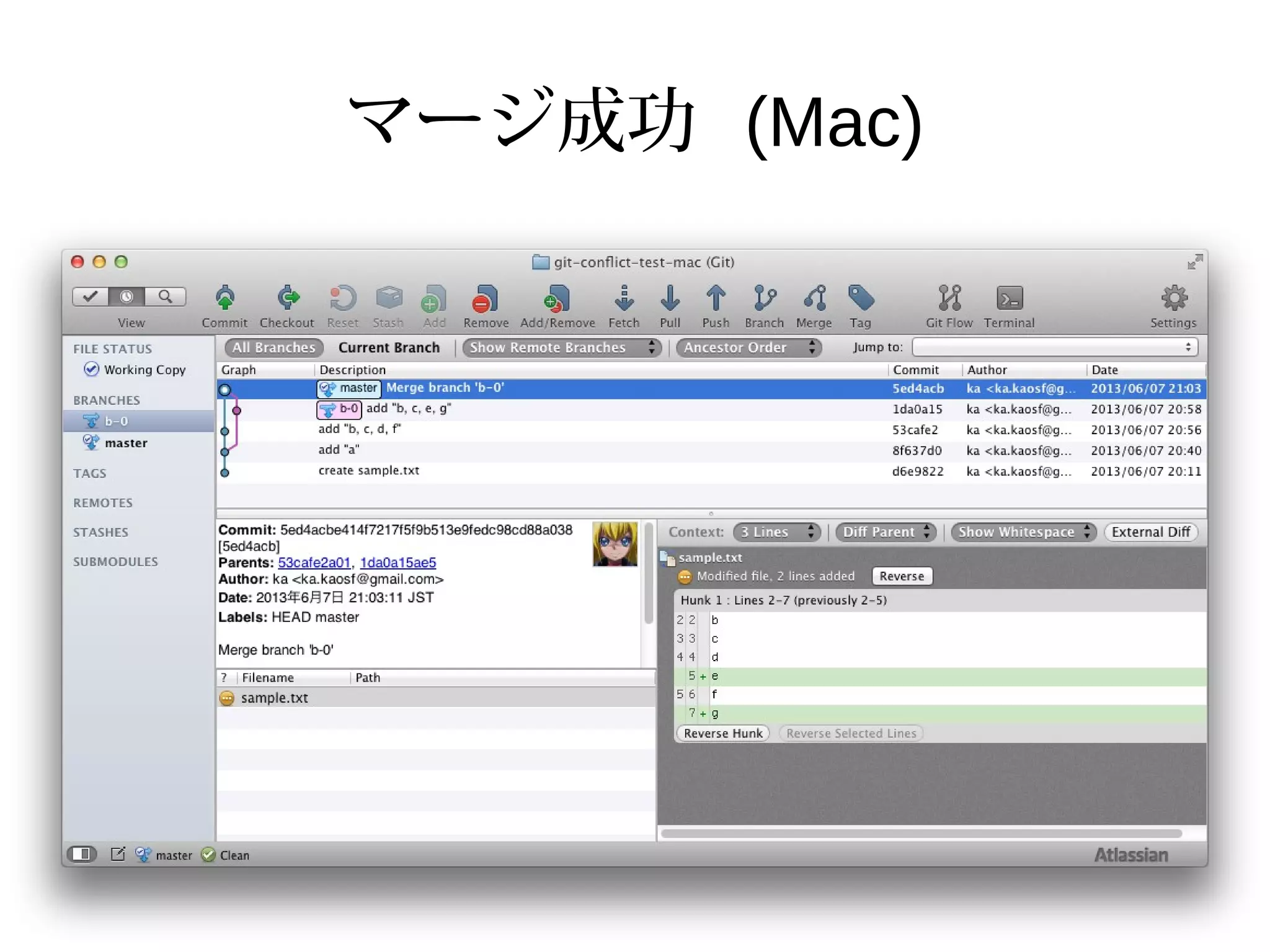 マージ成功 (Mac)
 