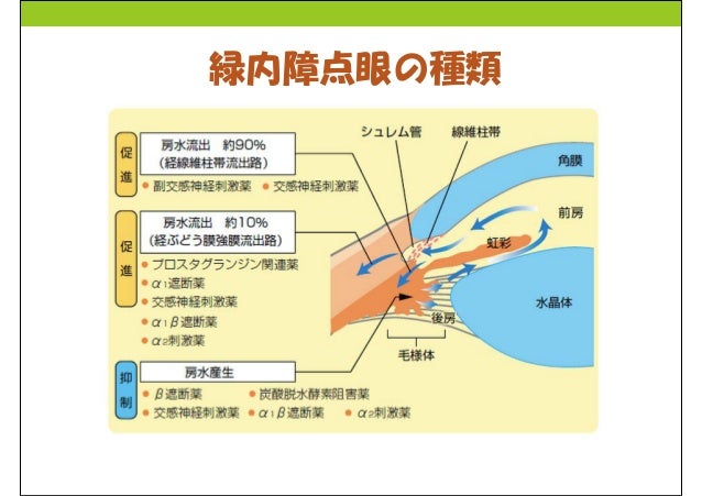 白内障と緑内障 病棟勉強会