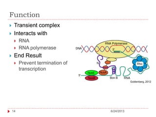 Function
6/24/201314
 Transient complex
 Interacts with
 RNA
 RNA polymerase
 End Result
 Prevent termination of
transcription
Goldenberg, 2012
 