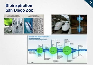 Bioinspiration
San Diego Zoo
 