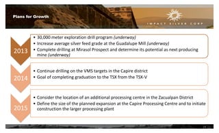 2013
• 30,000 meter exploration drill program (underway)
• Increase average silver feed grade at the Guadalupe Mill (underway)
• Complete drilling at Mirasol Prospect and determine its potential as next producing
mine (underway)
2014
• Continue drilling on the VMS targets in the Capire district
• Goal of completing graduation to the TSX from the TSX-V
2015
• Consider the location of an additional processing centre in the Zacualpan District
• Define the size of the planned expansion at the Capire Processing Centre and to initiate
construction the larger processing plant
Plans for Growth
18
 
