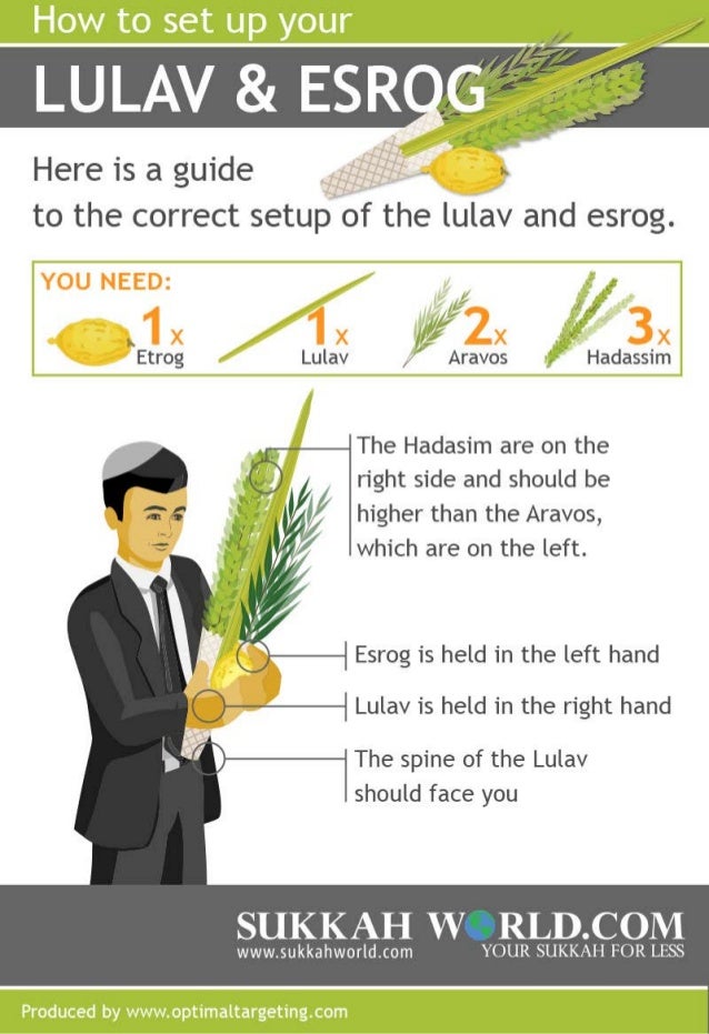 lulav esrog jewish etrog sukkot sukkah crafts hebrew leviticus feast judaism tabernacles infographic messianic poem dr religion seuss slideshare staff
