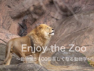 Enjoy the Zoo
∼動物園が100倍楽しくなる動物学∼
photo by Saburo Uchida
 