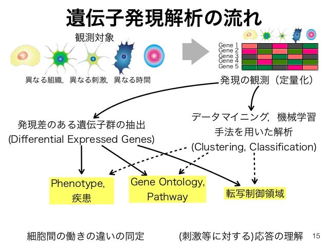 バイオインフォマティクスによる遺伝子発現解析