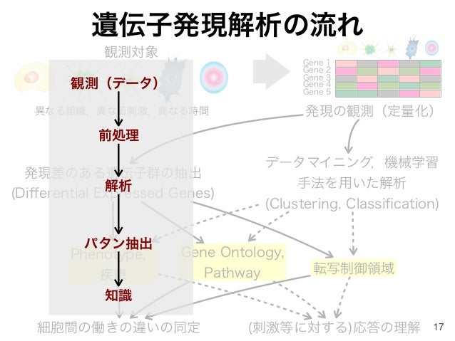 バイオインフォマティクスによる遺伝子発現解析