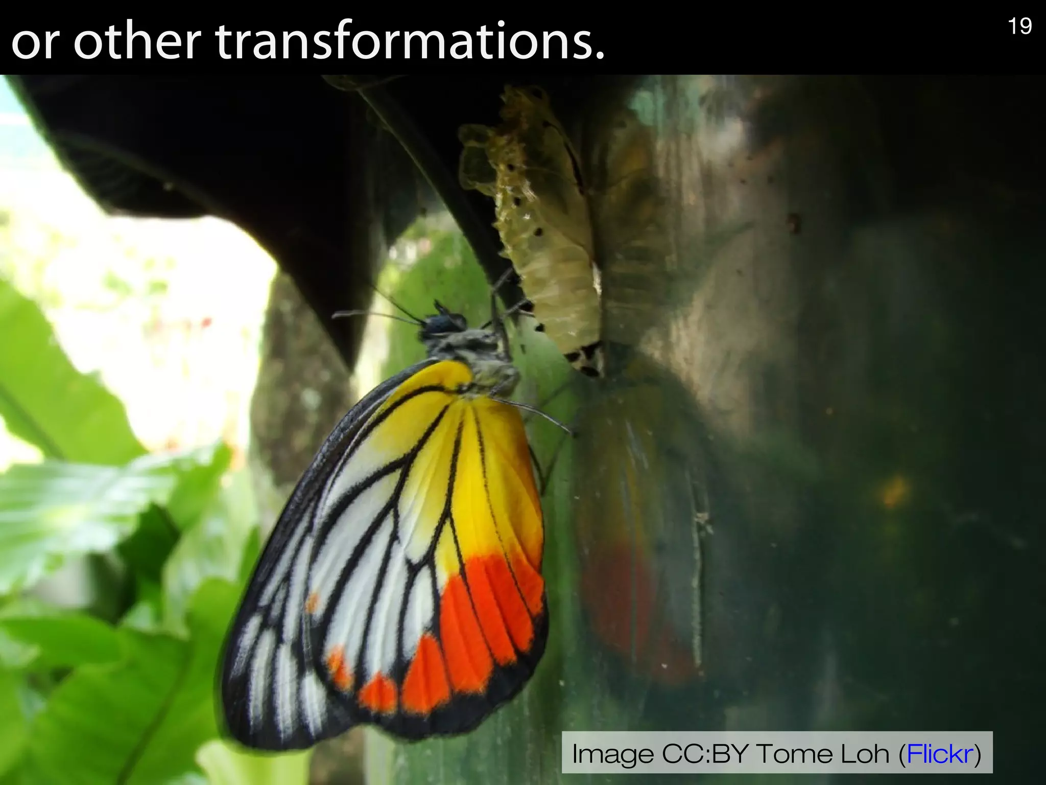 Image CC:BY Tome Loh (Flickr)
or other transformations. 19
 