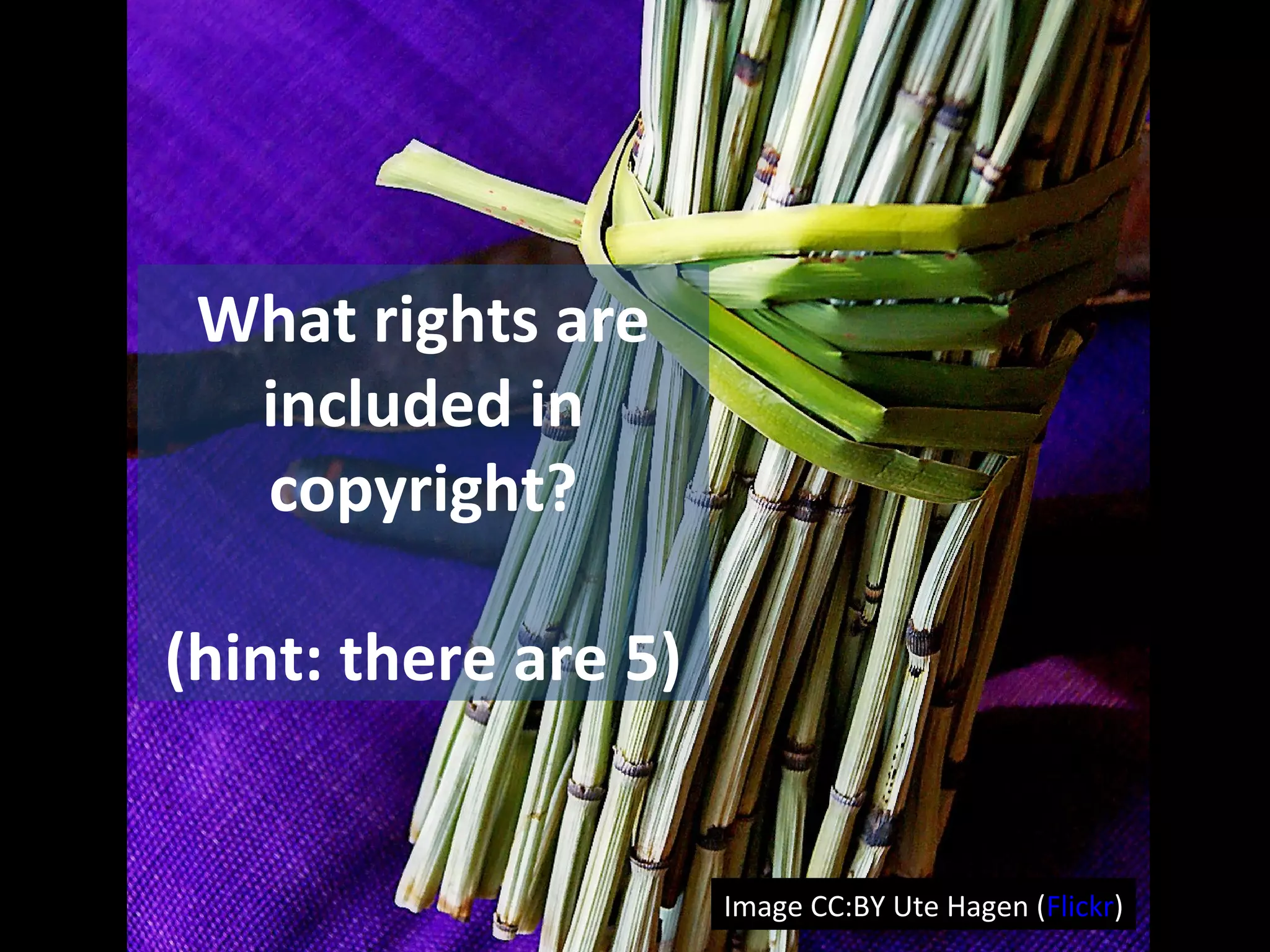 Image CC:BY Ute Hagen (Flickr)
What rights are
included in
copyright?
(hint: there are 5)
 