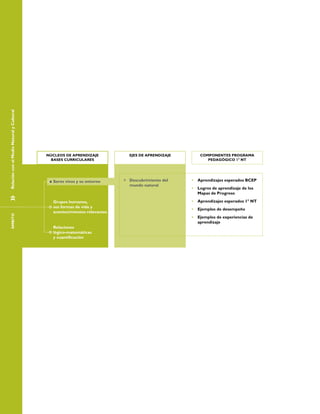 »	RelaciónconelMedioNaturalyCulturalÁMBITO
NÚCLEOS DE APRENDIZAJE
BASES CURRICULARES
EJES DE APRENDIZAJE COMPONENTES PROGRAMA
PEDAGÓGICO 1° NT
Aprendizajes esperados BCEP•	
Logros de aprendizaje de los•	
Mapas de Progreso
Aprendizajes esperados 1° NT•	
Ejemplos de desempeño•	
Ejemplos de experiencias de•	
aprendizaje
Descubrimiento del»»
mundo natural
Seres vivos y su entorno
Grupos humanos,
sus formas de vida y
acontecimientos relevantes
Relaciones
lógico-matemáticas
y cuantificación
 