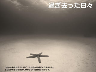 過ぎ去った日々
でも中々動きだそうとせず、ただ日々が過ぎて行きました。
ところがある日私は良く分からない行動をしたのです。
 