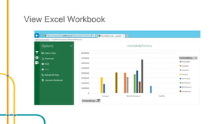View Excel Workbook
 