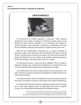 8
ORNITORRINCO
Texto 3
Lee atentamente el texto y responde las preguntas.
El ornitorrinco es tímido, juguetón y venenoso. Tiene algunas
semejanzas con el pato, el canguro, el alacrán y la foca, pero es muy
distinto de todo animal conocido. Es un mamífero que habita en
sectores cálidos como Tasmania y Australia y se diferencia del resto
de los mamíferos porque pone huevos en lugar de parir crías vivas.
Otra de sus características especiales es su hocico, parecido al
pico de un pato y que mide unos seis centímetros de largo y cinco de
ancho. Lo utiliza para encontrar sus presas, así como para remover el
fango del fondo de los ríos y dejar al descubierto insectos, gusanos,
animalitos del agua, alimentos que utiliza en su dieta.
El ornitorrinco bucea y nada con gran agilidad. Vive en largos y
angostos refugios que construyen las hembras en el borde de los ríos
y casi no salen de ellas cuando están esperando a sus hijos.
La hembra pone entre dos y cuatro huevos. Para amamantar a sus
hijos, la leche le sale por unos poros del abdomen, desde donde la cría
chupa directamente.
Los machos adultos tienen un espolón o hueso en las patas traseras,
lleno de una sustancia venenosa, que utiliza como sistema de defensa.
El ornitorrinco fue víctima de los cazadores durante mucho tiempo,
por su piel; pero algunas veces lo capturaban solo por su aspecto
curioso. En la actualidad está totalmente prohibido cazarlo.
http://www.icarito.cl/enciclopedia/articulo/primer-ciclo-basico/ciencias-naturales/
estructura-y-funcion-de-los-seres-vivos/2009/12/21-2175-9-el-ornitorrinco.shtml
Foto: http://tecnoculto.com/2011/01/10/10-curiosidades-sobre-el-ornitorrinco-10-fotos/
 