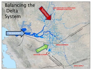 NEW NORTH DELTA CONVEYANCE
DIVERSION STRUCTURE
SOUTH DELTA PUMPS
Seawater
EBMUD DIVERSION
SFPUC SUPPLY
Balancing the
Delta
System
 