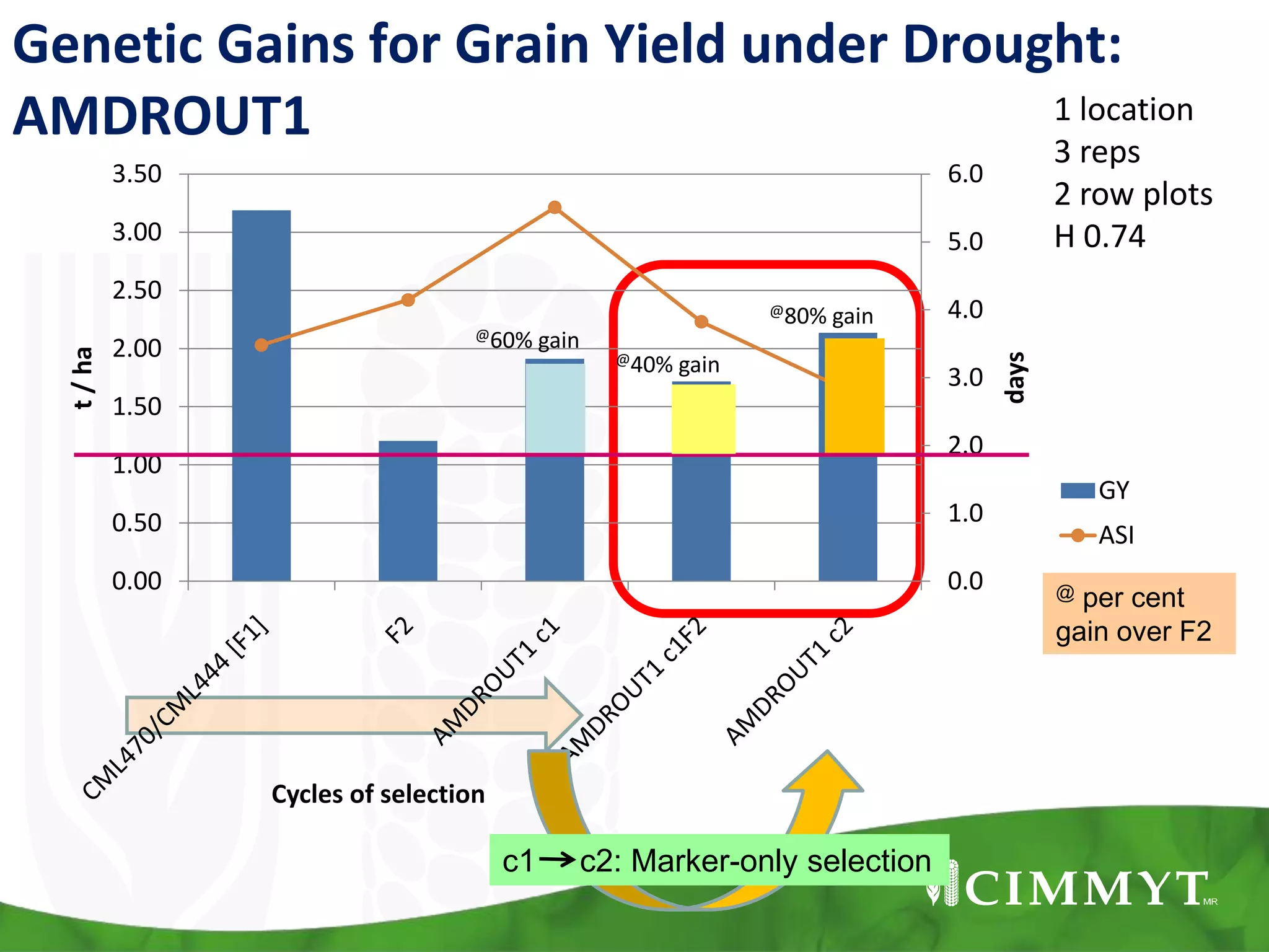 @60% gain
@40% gain
@80% gain
0.0
1.0
2.0
3.0
4.0
5.0
6.0
0.00
0.50
1.00
1.50
2.00
2.50
3.00
3.50
days
t/ha
Cycles of selection
GY
ASI
Genetic Gains for Grain Yield under Drought:
AMDROUT1 1 location
3 reps
2 row plots
H 0.74
c1 c2: Marker-only selection
@ per cent
gain over F2
 