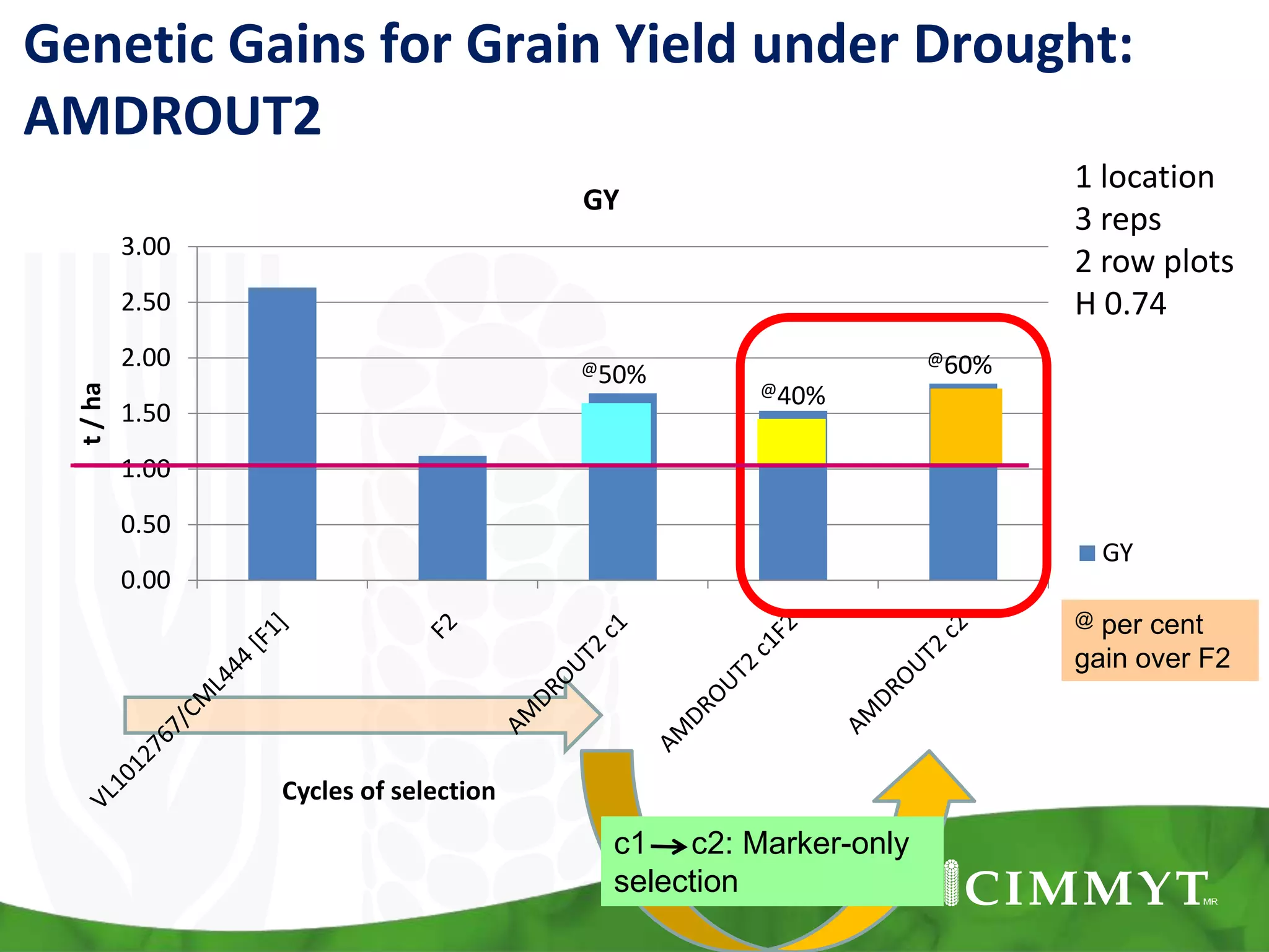 @50% @40%
@60%
0.00
0.50
1.00
1.50
2.00
2.50
3.00
t/ha
Cycles of selection
GY
GY
Genetic Gains for Grain Yield under Drought:
AMDROUT2
1 location
3 reps
2 row plots
H 0.74
@ per cent
gain over F2
c1 c2: Marker-only
selection
 