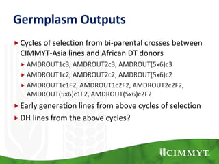 Germplasm Outputs
Cycles of selection from bi-parental crosses between
CIMMYT-Asia lines and African DT donors
 AMDROUT1c3, AMDROUT2c3, AMDROUT(5x6)c3
 AMDROUT1c2, AMDROUT2c2, AMDROUT(5x6)c2
 AMDROUT1c1F2, AMDROUT1c2F2, AMDROUT2c2F2,
AMDROUT(5x6)c1F2, AMDROUT(5x6)c2F2
Early generation lines from above cycles of selection
DH lines from the above cycles?
 