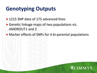 Genotyping Outputs
1215 SNP data of 175 advanced lines
Genetic linkage maps of two populations viz.
AMDROUT1 and 2
Marker effects of SNPs for 4 bi-parental populations
 