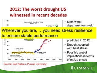 2012: The worst drought US
witnessed in recent decades
Source: Bob Nielsen (Purdue University)
• Sixth worst
departure from yield
trend since 1866!
• Yield estimate would
be 23% lower than
predicted in 2012…
• Drought coupled
with heat stress
• Possible global
implications in terms
of maize prices
Wherever you are, …you need stress resilience
to ensure stable performance
 